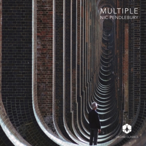 Nic Pendlebury - Multiple i gruppen Externt_Lager / Naxoslager hos Bengans Skivbutik AB (4156354)