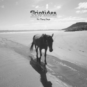 Triptides - So Many Days i gruppen VINYL / Rock hos Bengans Skivbutik AB (4156564)