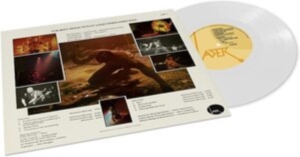 Samson - Survivors i gruppen VINYL / Metal hos Bengans Skivbutik AB (4158504)
