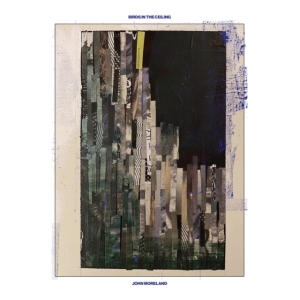 John Moreland - Birds In The Ceiling i gruppen VINYL / Pop-Rock hos Bengans Skivbutik AB (4158613)
