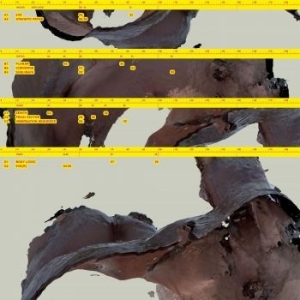 Awe Kid - Body Logic i gruppen VINYL / Pop hos Bengans Skivbutik AB (4158632)