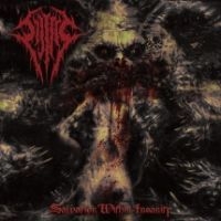 Sijjeel - Salvation Within Insanity i gruppen CD / Metal/ Heavy metal hos Bengans Skivbutik AB (4158807)