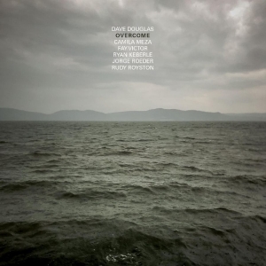 Douglas Dave - Overcome i gruppen VINYL / Jazz hos Bengans Skivbutik AB (4160656)