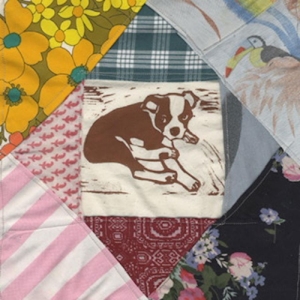 Mapache - Roscoe's Dream i gruppen VINYL / Pop-Rock,World Music hos Bengans Skivbutik AB (4160658)