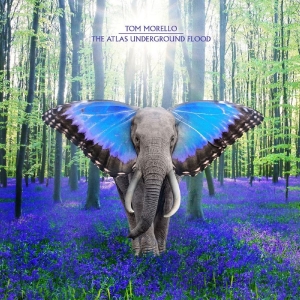 Morello Tom - The Atlas Underground Flood (Sky Bl i gruppen VINYL / Pop-Rock hos Bengans Skivbutik AB (4160662)