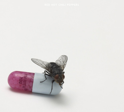 Red Hot Chili Peppers - I'm with you - US Import i gruppen Annet / hos Bengans Skivbutik AB (4161033)