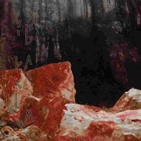 VOID PARADIGM - ULTIME PULSATION | DEMAIN BRULE i gruppen VINYL / Metal hos Bengans Skivbutik AB (4161176)