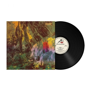 Wake - Thought Form Descent (Black Vinyl L i gruppen VINYL / Metal hos Bengans Skivbutik AB (4162415)
