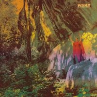 Wake - Thought Form Descent (Digipack) i gruppen CD / Metal hos Bengans Skivbutik AB (4162425)