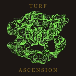 Bubblemath - Turf Ascension i gruppen CD hos Bengans Skivbutik AB (4162769)