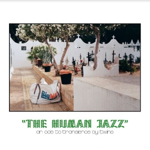 Twïns - The Human Jazz i gruppen VINYL hos Bengans Skivbutik AB (4163667)