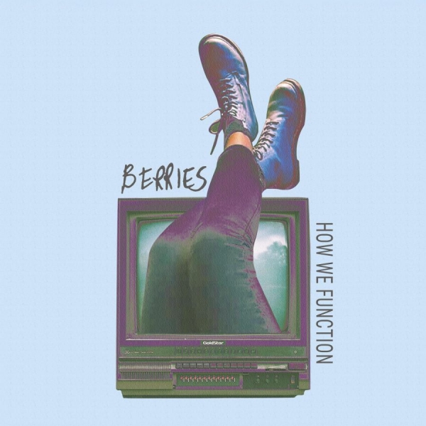Berries - How We Function i gruppen CD / Toppselgere hos Bengans Skivbutik AB (4164988)