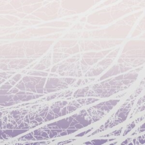 Bertucci Lea - Meta Aether/Resonant Field i gruppen VINYL / Pop-Rock hos Bengans Skivbutik AB (4167107)