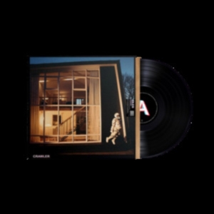 Idles - Crawler i gruppen VINYL / Pop-Rock hos Bengans Skivbutik AB (4168231)