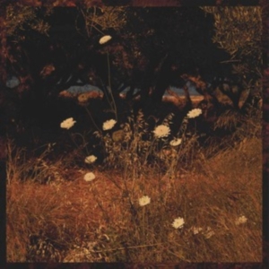 Szun Waves - Earth Patterns i gruppen Annet /  hos Bengans Skivbutik AB (4169048)