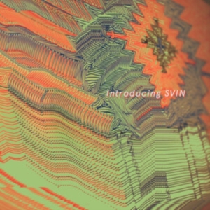 Svin - Introducing Svin (Orange Vinyl Lp) i gruppen VINYL / Dansk Musikkk,Pop-Rock hos Bengans Skivbutik AB (4169198)