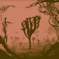 Melting Palms - Noise Between The Shades i gruppen VINYL / Rock hos Bengans Skivbutik AB (4170560)