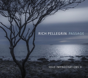 Rich Pellegrin - Passage: Solo Improvisations Ii i gruppen CD hos Bengans Skivbutik AB (4171520)