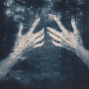 Santos Silva Susana - All The Birds And A Telephone Ringi i gruppen VINYL / Pop-Rock hos Bengans Skivbutik AB (4172172)