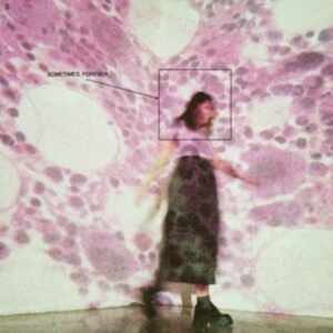 Soccer Mommy - Sometimes, Forever (Indie Retail Ex i gruppen CD hos Bengans Skivbutik AB (4173965)