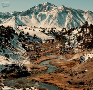 Sheff Will - Nothing Special (Eco Wax) i gruppen VINYL / Pop-Rock hos Bengans Skivbutik AB (4177698)