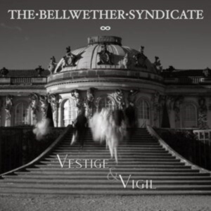 Bellwether Syndicate - Vestige & Vigil i gruppen VINYL / Pop-Rock hos Bengans Skivbutik AB (4177707)