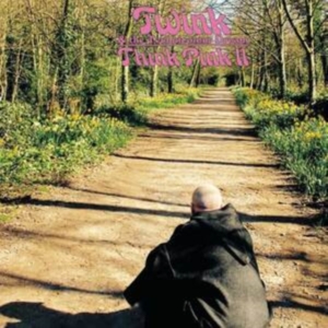 Twink - Think Pink 2 i gruppen Annet /  hos Bengans Skivbutik AB (4179958)