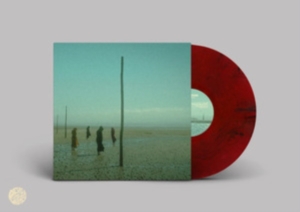 Devils Witches - In All Her Forms (Red/Black Marbled i gruppen VINYL / Metal hos Bengans Skivbutik AB (4180180)