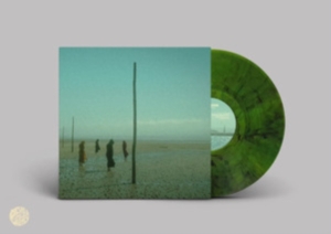 Devils Witches - In All Her Forms (Green/Black Marbl i gruppen VINYL / Metal hos Bengans Skivbutik AB (4180182)