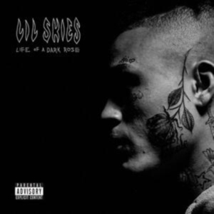Lil Skies - Life Of A Dark Rose i gruppen Annet /  hos Bengans Skivbutik AB (4180829)