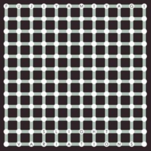 Fujiya & Miyagi - Slight Variations i gruppen CD / Pop-Rock hos Bengans Skivbutik AB (4181324)