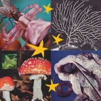Blandade Artister - All Things Considered Vol 2 i gruppen VINYL / Toppselgere hos Bengans Skivbutik AB (4181975)