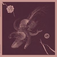 Turner Aaron & Jon Mueller - Now That You've Found It i gruppen VINYL hos Bengans Skivbutik AB (4182012)