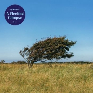 Riis Bjïrn - A Fleeting Glipse i gruppen CD / Rock hos Bengans Skivbutik AB (4182364)