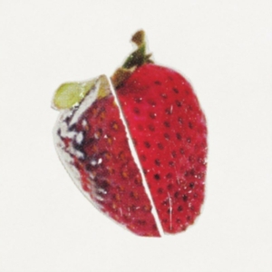 Status/Non-Status - Surely Travel (Indie Only) i gruppen VINYL hos Bengans Skivbutik AB (4182904)