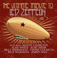 Various Artist - Led Zeppelin - Ultimate Tribute 2 i gruppen VINYL hos Bengans Skivbutik AB (4182912)