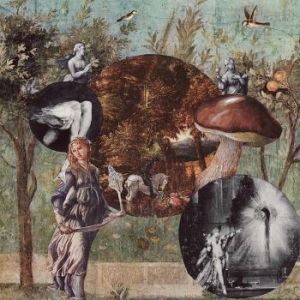 Native Harrow - Old Kind Of Magic i gruppen VINYL / Pop hos Bengans Skivbutik AB (4183101)