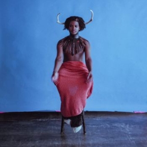 Shamir - Heterosexuality i gruppen VINYL hos Bengans Skivbutik AB (4184509)