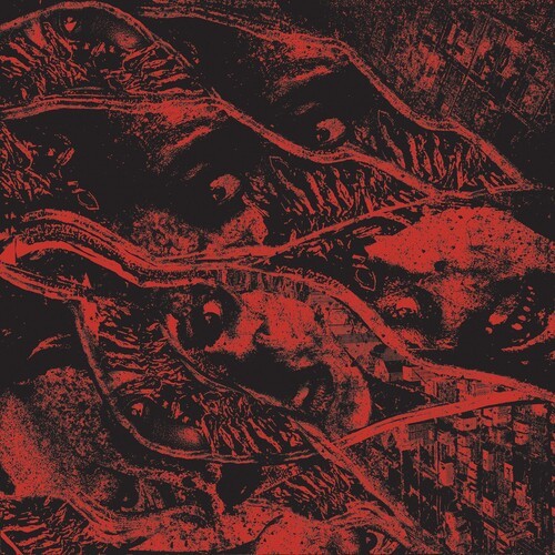 Vermin Womb - Retaliation i gruppen CD / Toppselgere hos Bengans Skivbutik AB (4185174)