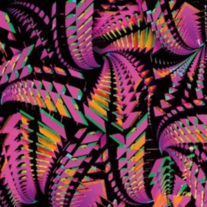 Bitchin Bajas - Bajascillators i gruppen VINYL / Pop-Rock hos Bengans Skivbutik AB (4185378)