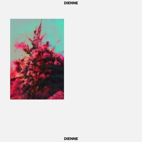 Dienne - Addio i gruppen VINYL / Dans/Techno hos Bengans Skivbutik AB (4185391)