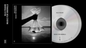 Nils Frahm - Music For Animals i gruppen CD / Elektroniskt,Annet hos Bengans Skivbutik AB (4186265)