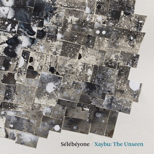 Lehman Steve / Selebeyone - Xaybu: The Unseen i gruppen VINYL / Jazz hos Bengans Skivbutik AB (4186443)
