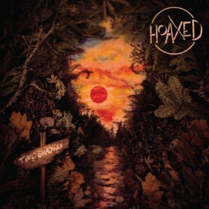 Hoaxed - Two Shadows i gruppen CD hos Bengans Skivbutik AB (4186846)