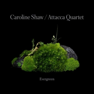 Caroline Shaw & Attacca Quarte - Caroline Shaw: Evergreen i gruppen CD / Klassisk hos Bengans Skivbutik AB (4187035)
