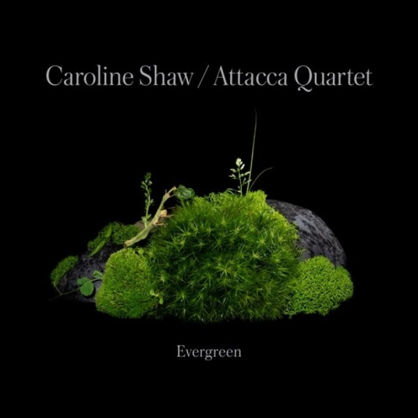Caroline Shaw & Attacca Quarte - Caroline Shaw: Evergreen i gruppen CD / Klassisk hos Bengans Skivbutik AB (4187035)