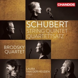 Schubert Franz - String Quintet Quartettsatz i gruppen CD hos Bengans Skivbutik AB (4187375)