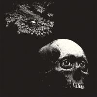 Osees - A Foul Form i gruppen CD hos Bengans Skivbutik AB (4187461)
