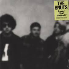 The Snuts - Burn The Empire i gruppen VINYL / Pop-Rock hos Bengans Skivbutik AB (4189764)