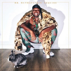 Mr. Muthafuckin´exquire - Mr. Muthafuckin´exquire (Orange vinyl) i gruppen Annet /  hos Bengans Skivbutik AB (4190311)